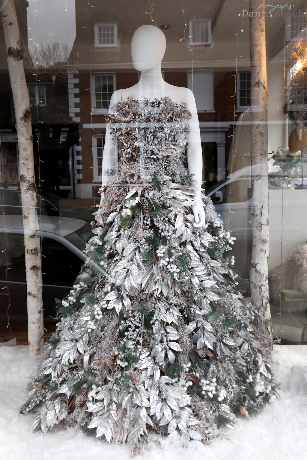 Christmas tree window display